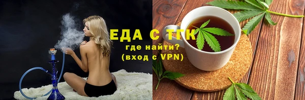хмурый Аркадак