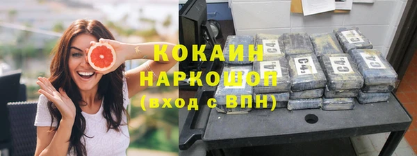 шишки Алексин