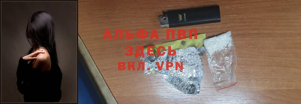 хмурый Аркадак