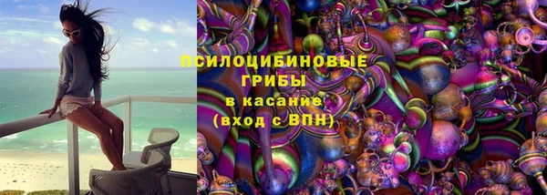 гашик Арсеньев