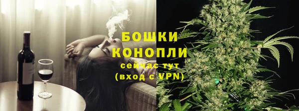 хмурый Аркадак