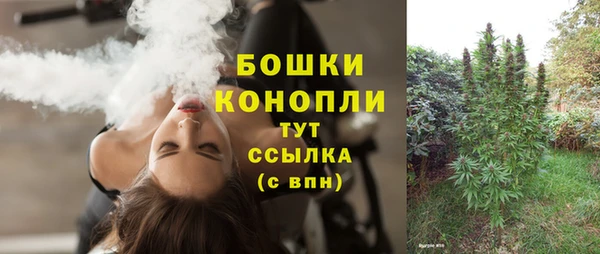 гашик Арсеньев