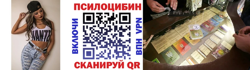 Псилоцибиновые грибы Psilocybe  Родники 
